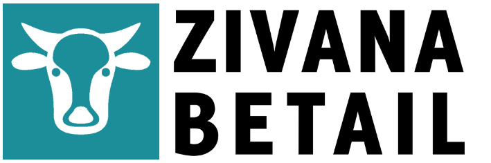 BETAIL_LOGO-2.png